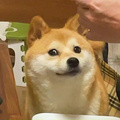 鿴ß