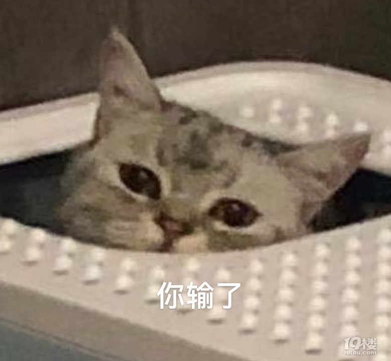 鿴ԭD