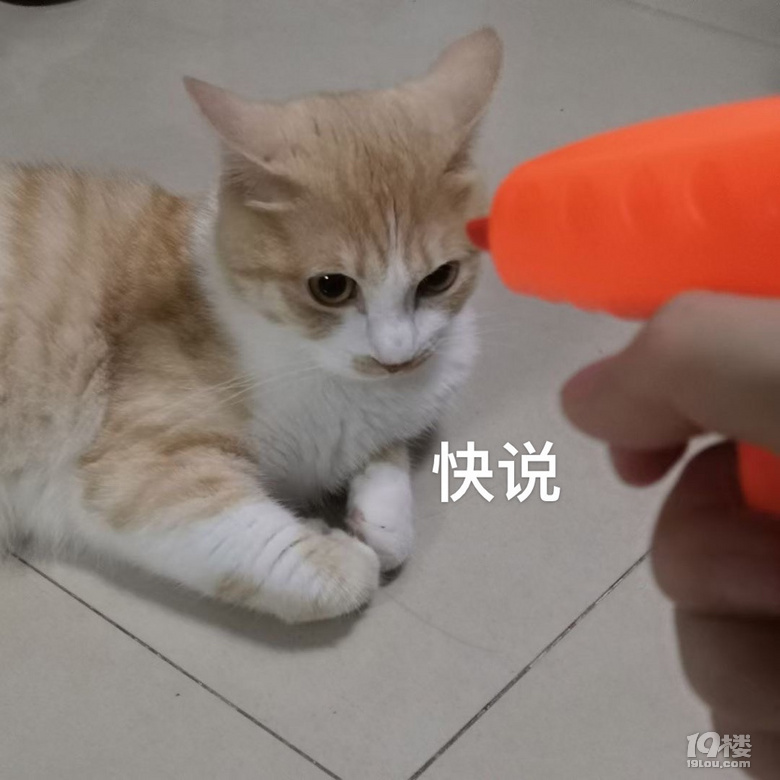 鿴ԭD