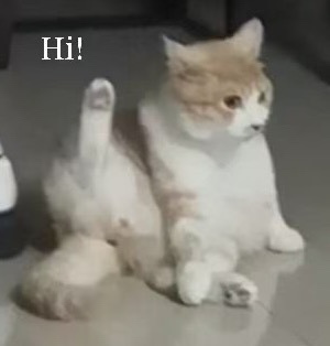 鿴ԭD