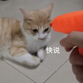 鿴ß