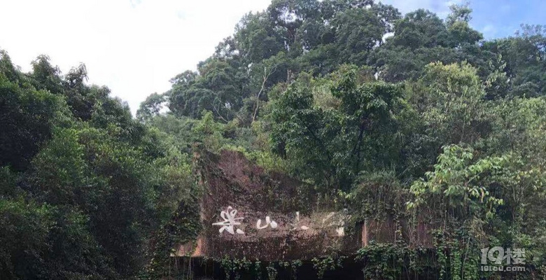 【夏天去哪兒玩】樂山大佛