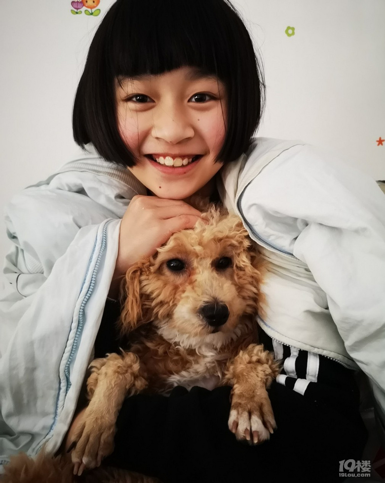養(yǎng)狗狗前學(xué)會這4點(diǎn)知識，不僅能救下你的狗命，還能為你省心省錢