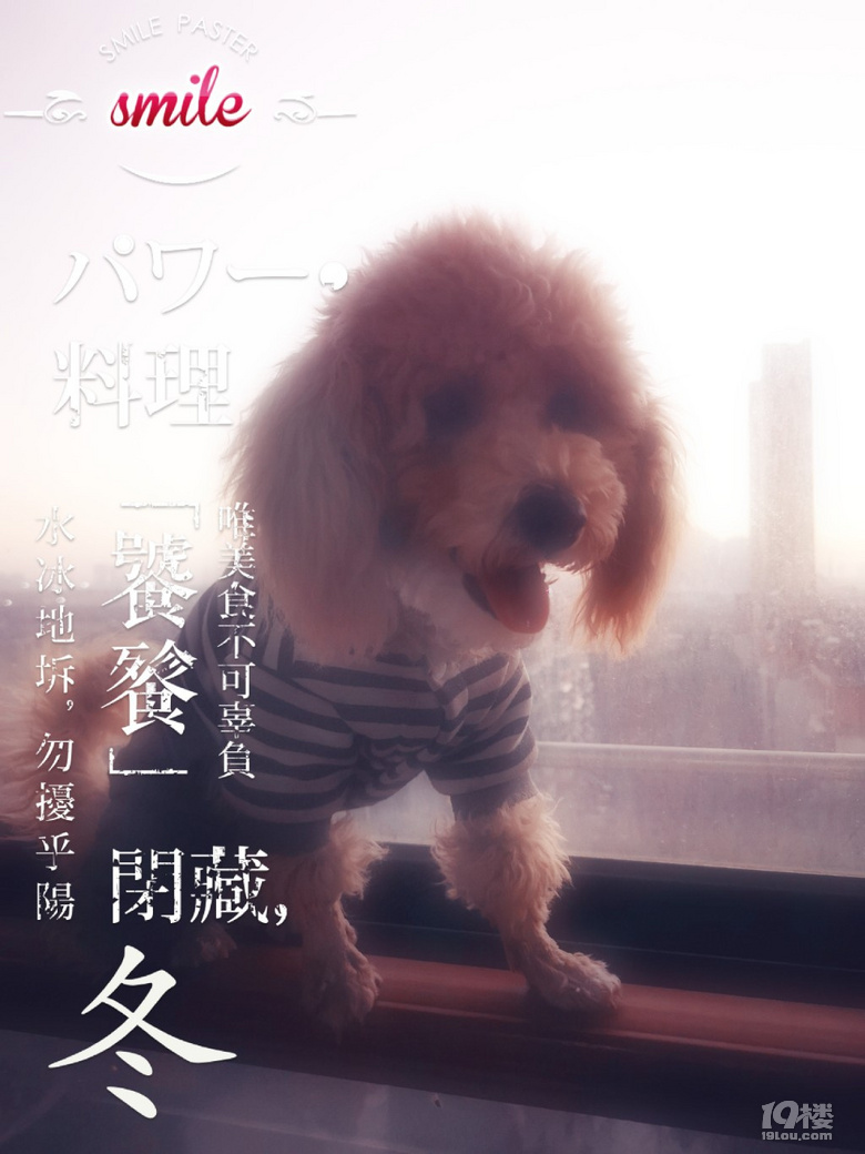 養(yǎng)狗狗前學(xué)會這4點(diǎn)知識，不僅能救下你的狗命，還能為你省心省錢