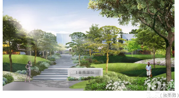 实地青岛蔷薇国际怎么样