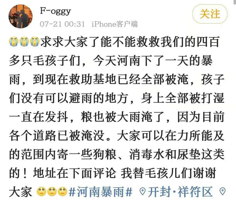 暴雨來襲！那只經常喂的流浪貓，再也見不到了…