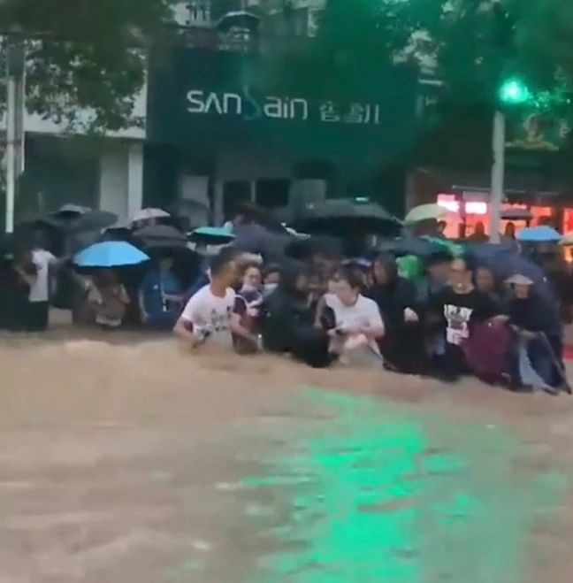 暴雨來襲！那只經常喂的流浪貓，再也見不到了…