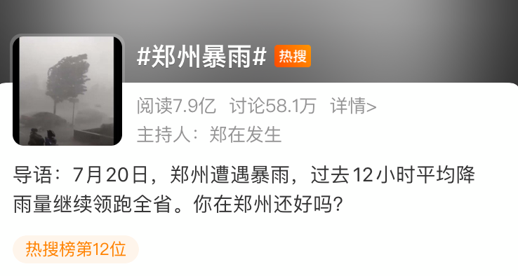 暴雨來襲！那只經常喂的流浪貓，再也見不到了…