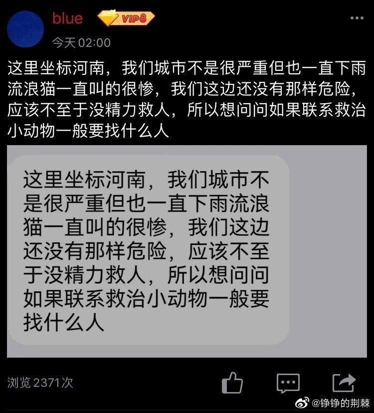 暴雨來襲！那只經常喂的流浪貓，再也見不到了…