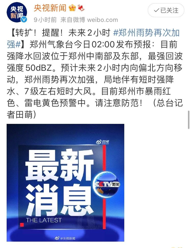 暴雨來襲！那只經常喂的流浪貓，再也見不到了…