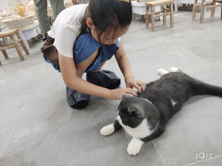 做一枚安靜的文藝美少女