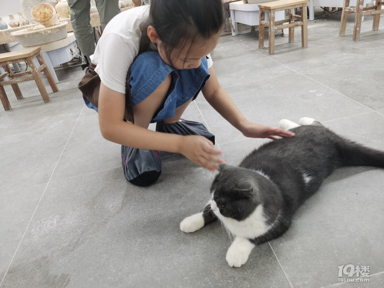 做一枚安靜的文藝美少女