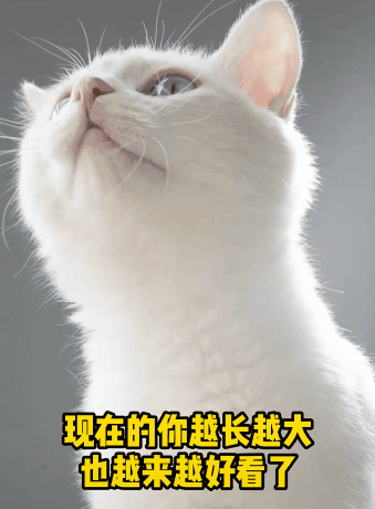 һֻС؈]뵽Ư14fW(wng)