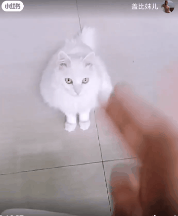 һֻС؈]뵽Ư14fW(wng)ѣ
