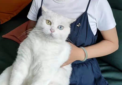 һֻС؈]뵽Ư14fW(wng)
