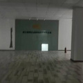 鿴ß