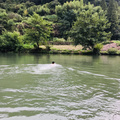 鿴ß