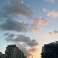 鿴ß
