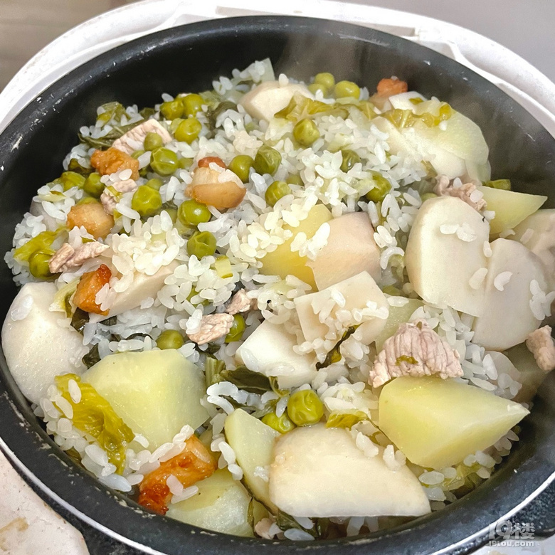 菜飯yyds