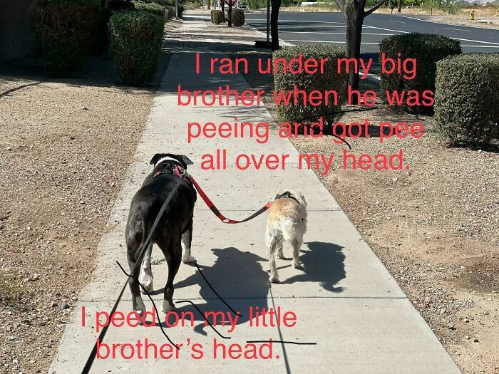 PʺٽǸW(wng)ÿһluЦ