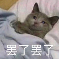 鿴ß