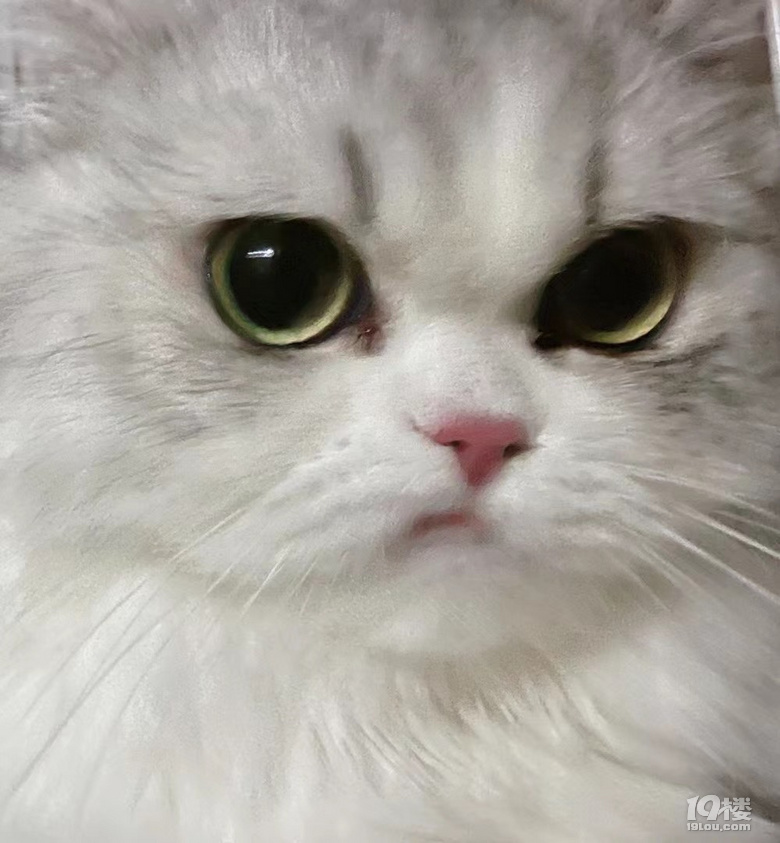 С؈䲻Ǻ_ĵĘ