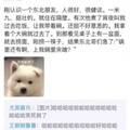 鿴ß