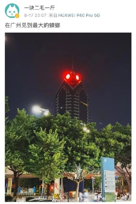 太像了吧!广东最大的蟑螂竟是白云机场?