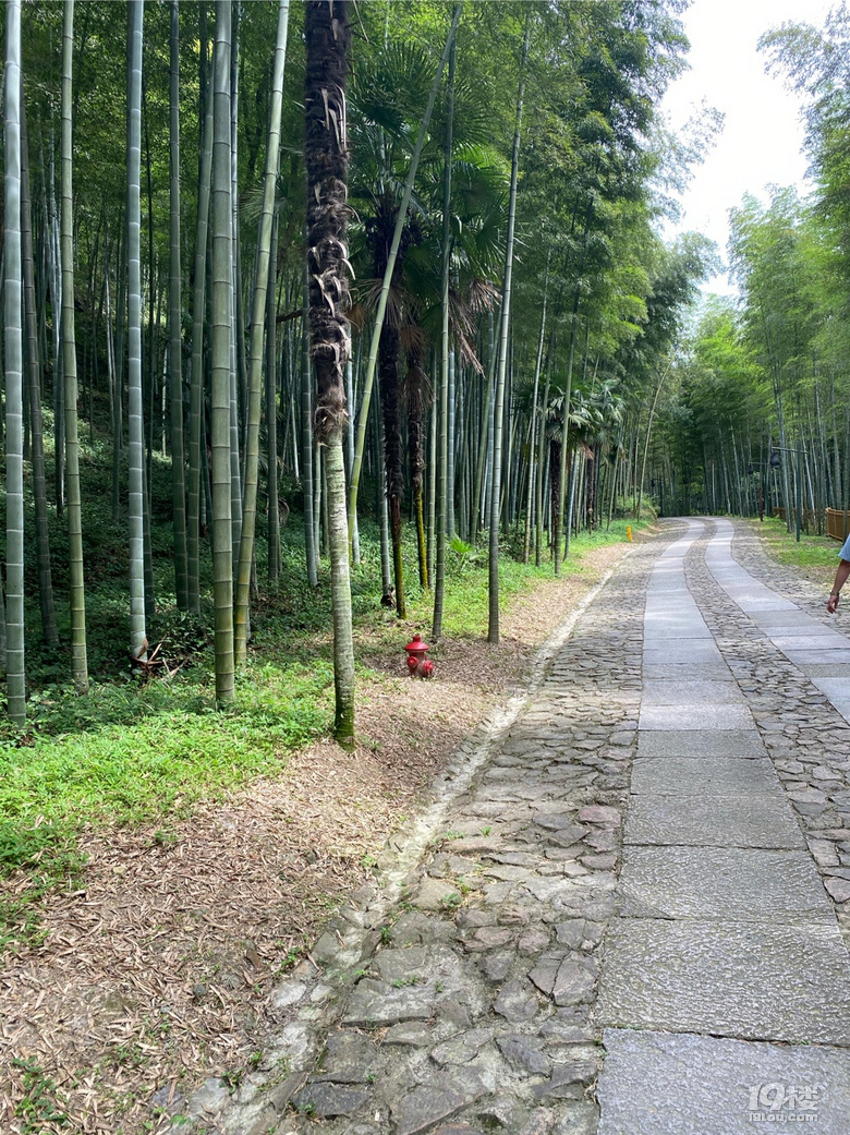 打卡黃公望隱居地