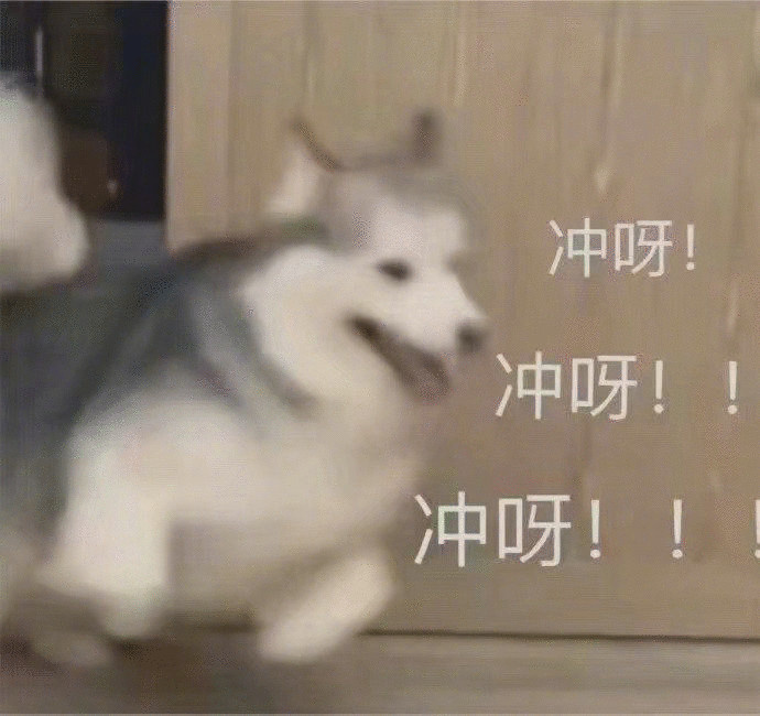聽到熊孩子要開學(xué)，狗子殷勤的開門歡送：趕緊走吧你！哈哈哈