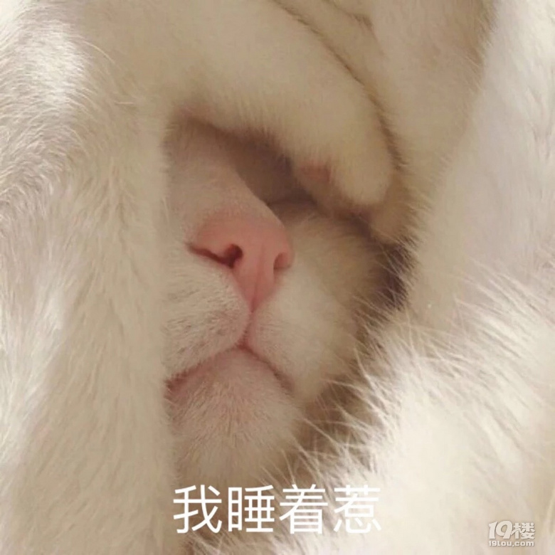 鿴ԭD