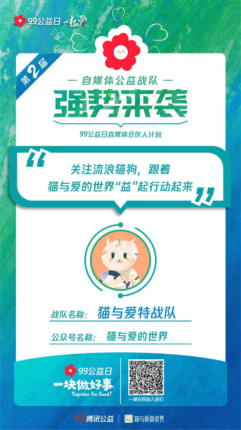 流浪小奶貓躲雨成“網(wǎng)紅” ：別趕我走，就一會兒....
