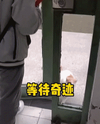 流浪小奶貓躲雨成“網(wǎng)紅” ：別趕我走，就一會兒....