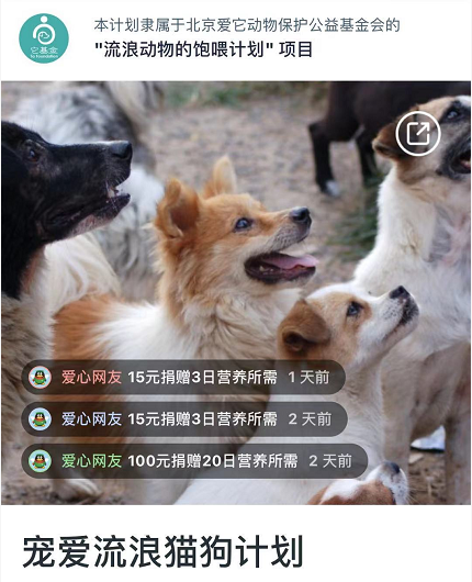 流浪小奶貓躲雨成“網(wǎng)紅” ：別趕我走，就一會兒....