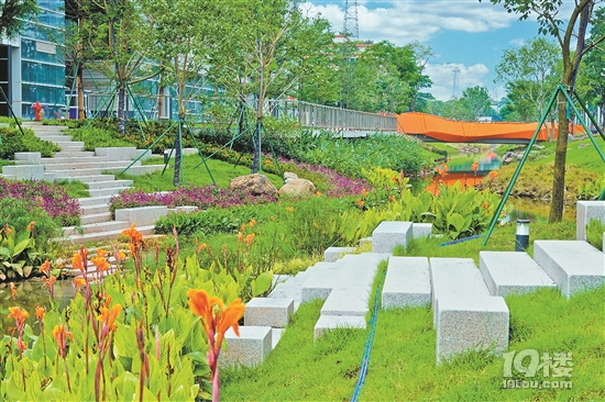 大坦沙島河涌景觀示范段完工，沙坦涌兩岸看新綠