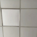 鿴ß