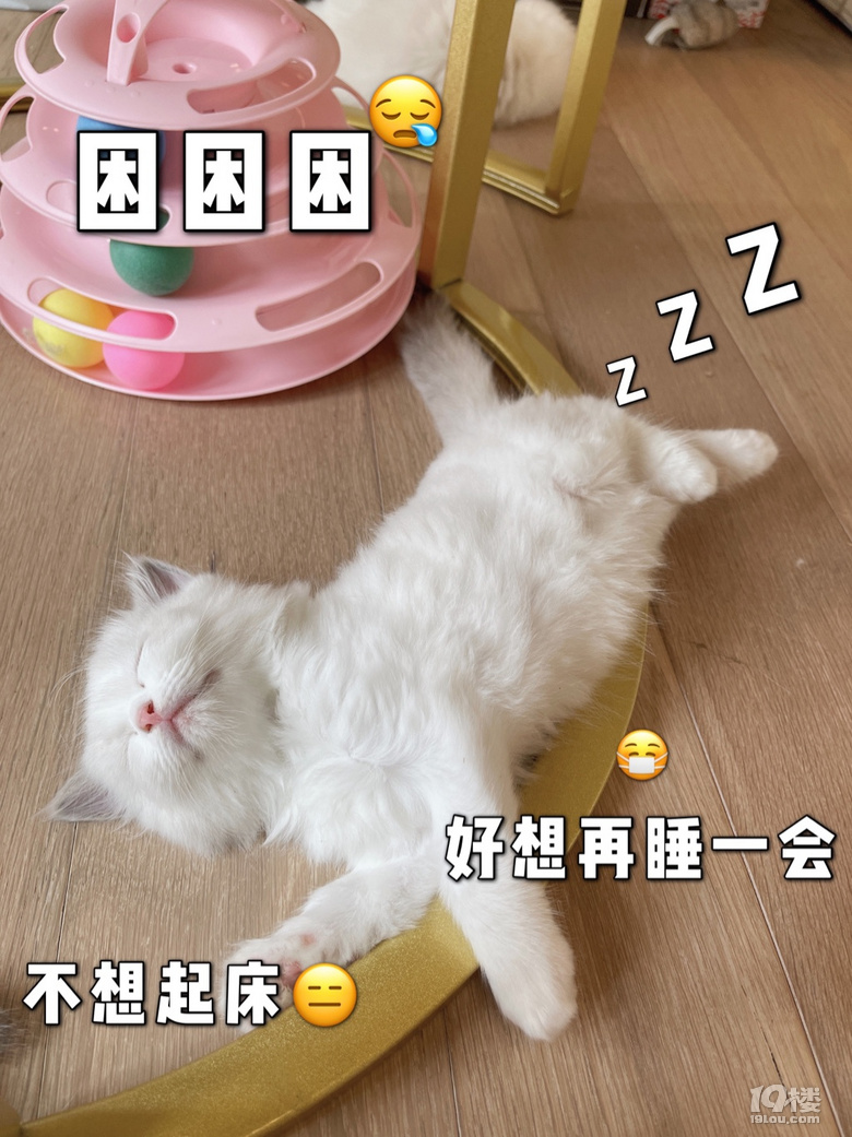 Ůżһ̥3ܵ1Ì(sh)ӛ