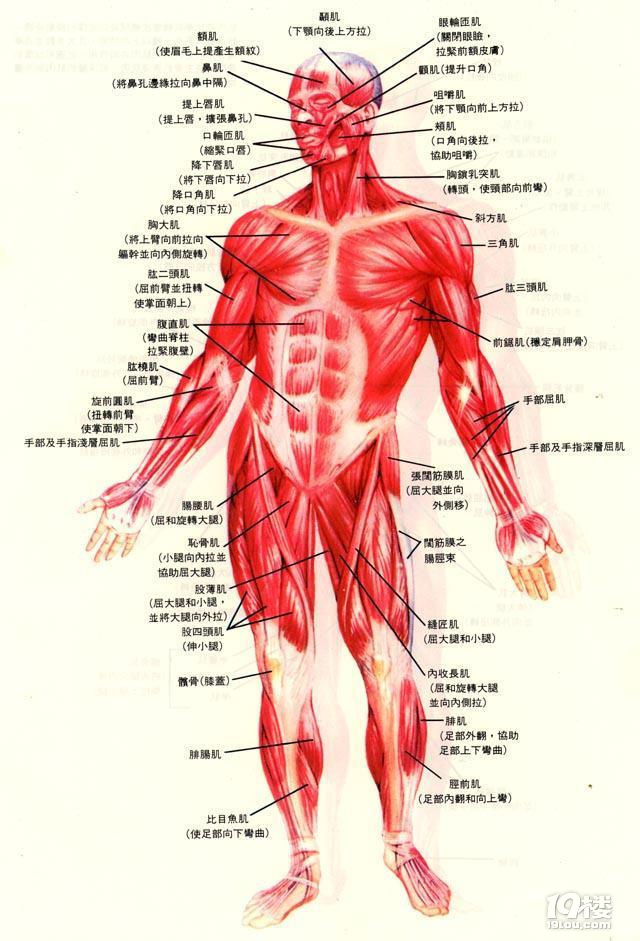 怕孩子運(yùn)動受傷？？看這里�。�！