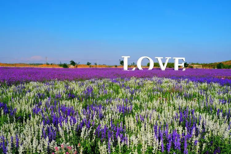 ڵһСǣQЇ(gu)ĦóԺ泬