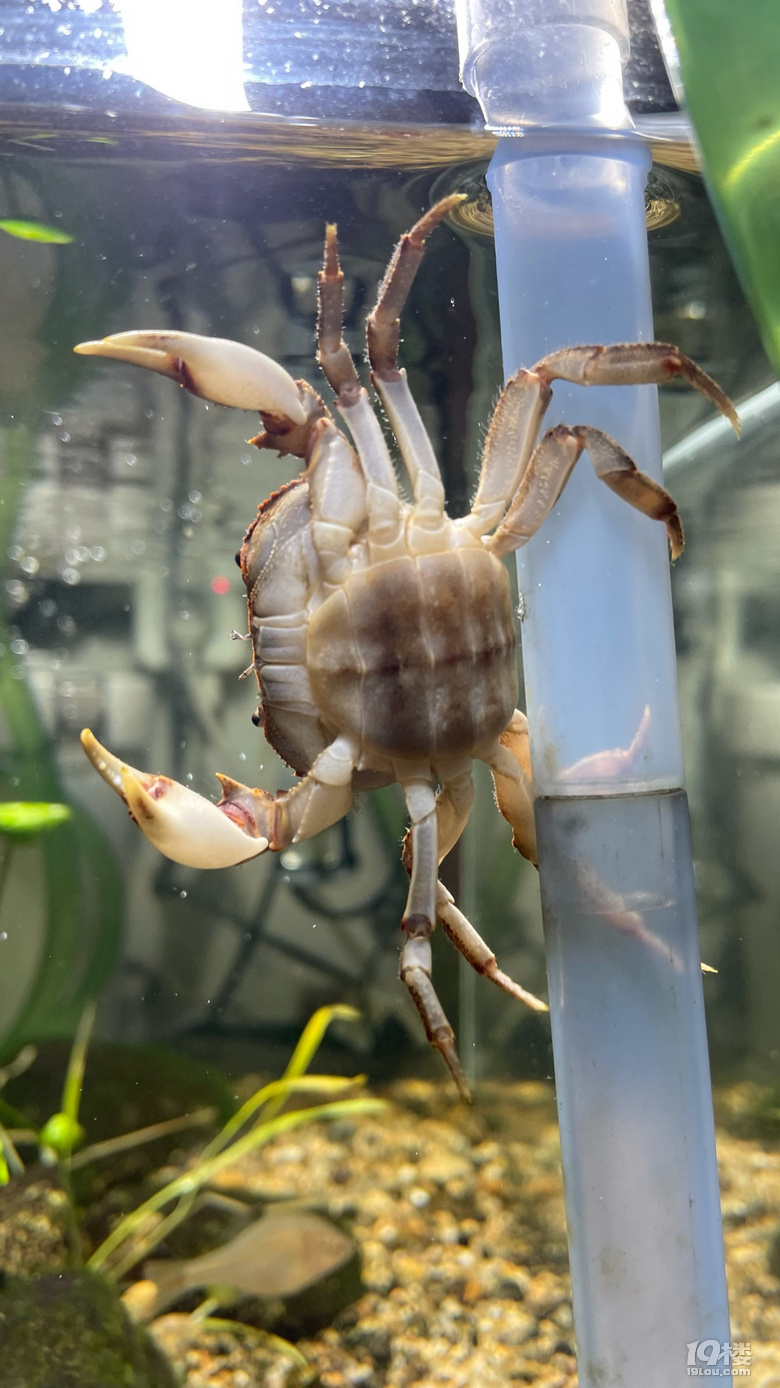 越獄了