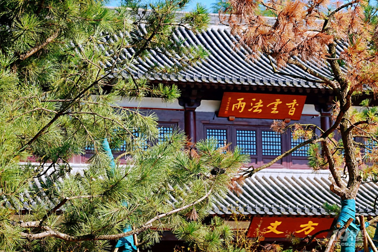 國慶去徑山古剎，在涼風習習中烹茶問禪，不亦樂乎！