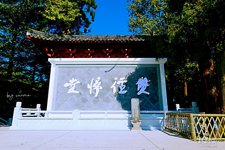 國慶去徑山古剎，在涼風習習中烹茶問禪，不亦樂乎！