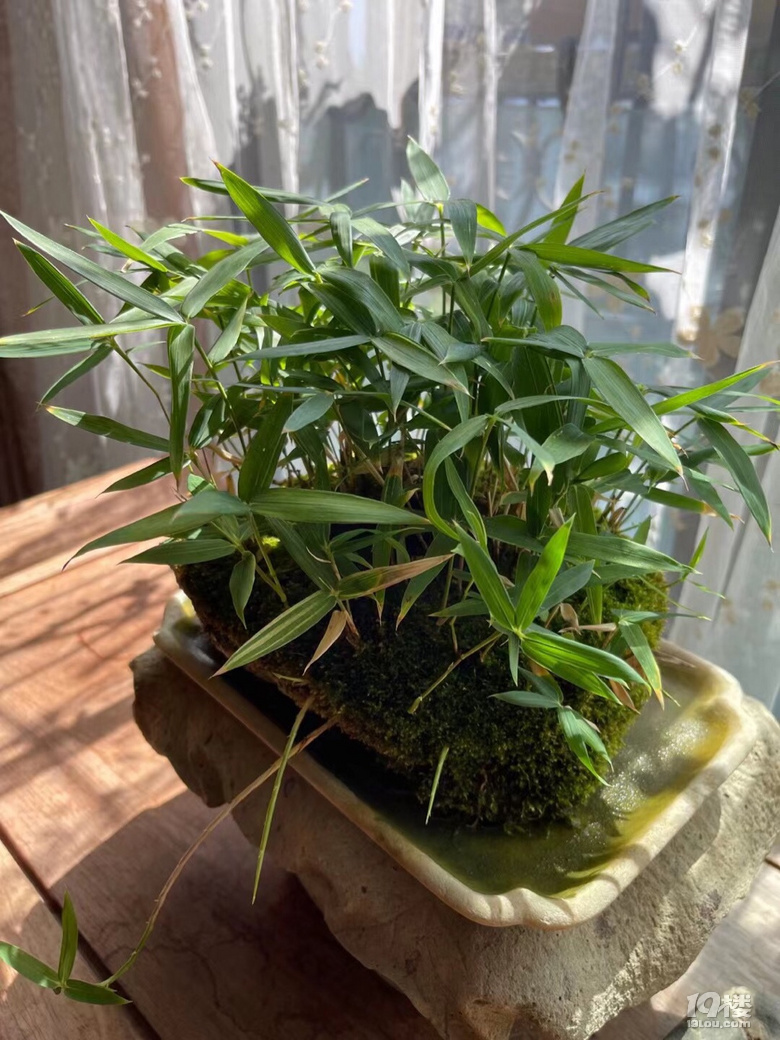 美好一天開始了！
