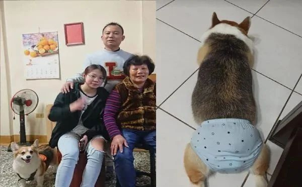 狗子：“水開了你聽不到嗎！？這個家只有我在操心！”