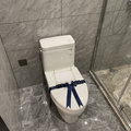 鿴ß