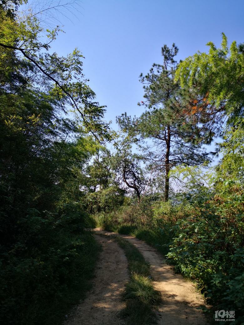 老家風(fēng)景