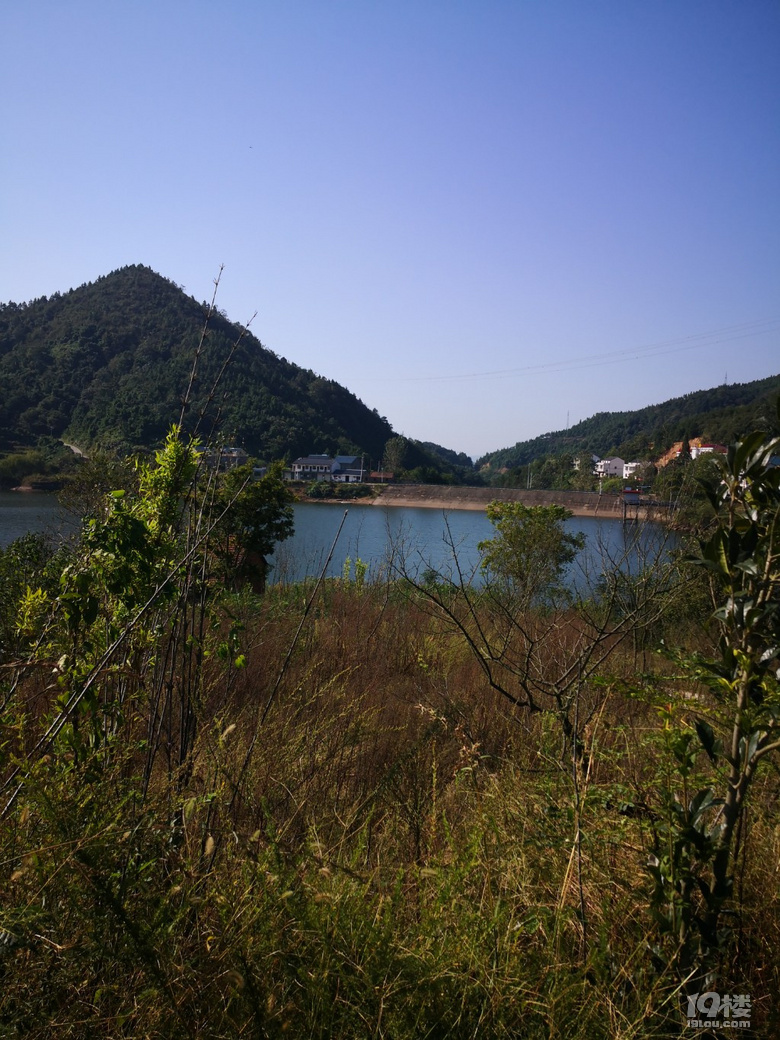 老家風(fēng)景