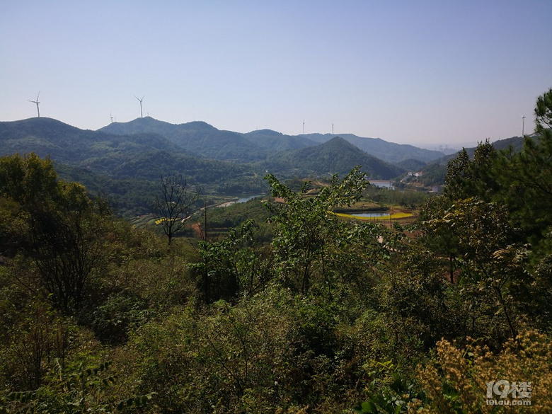 老家風(fēng)景