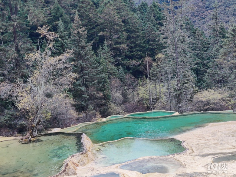 黃龍