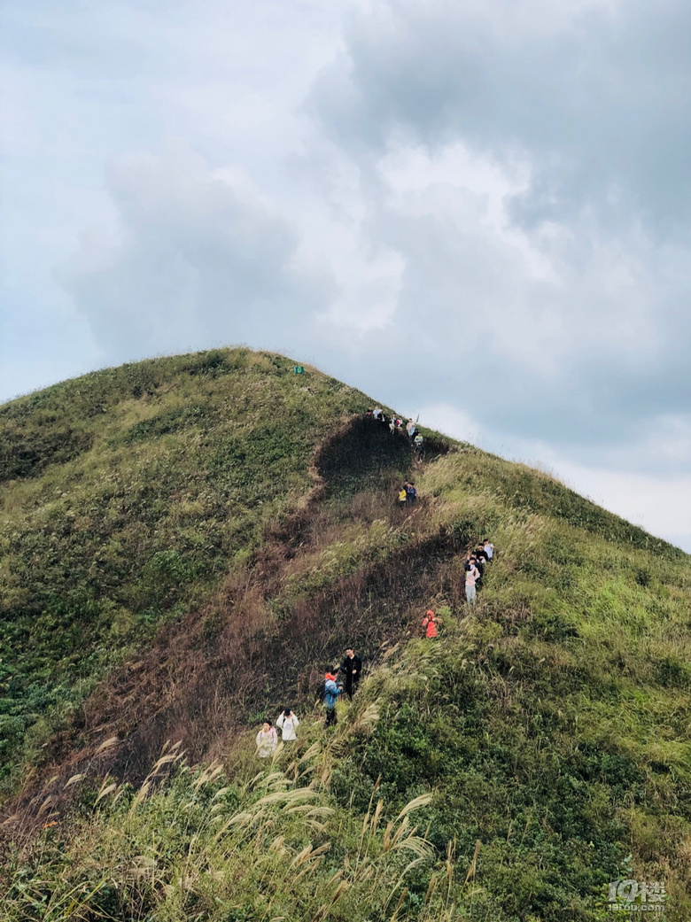 「周末去哪兒玩」徒步千畝高山茶場走浙東“小武功山”